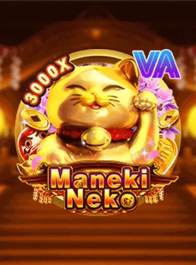 hn555 Book of Dead slot cover from Play'n GO